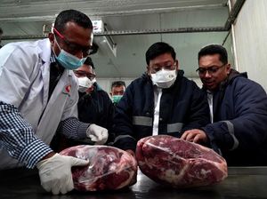 Daging Sapi Brasil Bakal Banjiri RI, Pedagang Langsung Bilang Begini