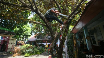 Relokasi SDN Pocin 1 Ditunda, Orang Tua Murid Beberes Sekolah