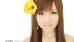 5 Alumni AKB48 Banting Stir Jadi Bintang JAV