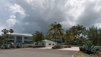 Dokumen lain menunjukkan bahwa FTX juga menghabiskan USD 4,5 juta untuk sebidang tanah di Bay Street yang terkenal di Nassau, tempat perusahaan berencana menghabiskan USD 60 juta untuk membangun kompleks kantor pusat yang besar. Foto: Twitter