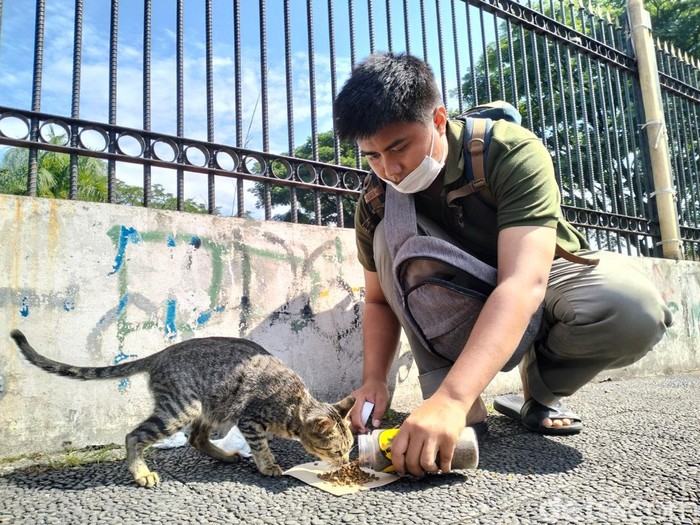 Anak muda Bandung saat merawat kucing jalanan