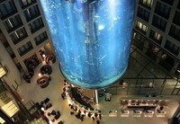 AquaDom