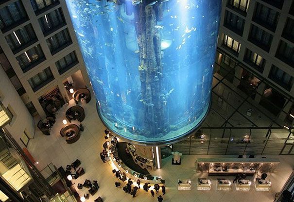 AquaDom