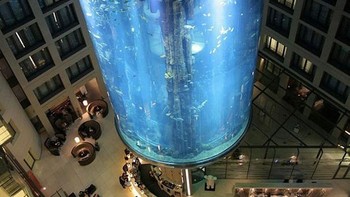 AquaDom berbentuk silinder dengan lift transparan. Akuarium unik ini terletak di dalam Radisson Collection Hotel di kompleks DomAquarée di Karl-Liebknecht-Straße di Berlin-Mitte. Foto: Radissonblu.com/Bored Panda