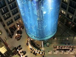 Melihat Akuarium Raksasa AquaDom Sebelum Meledak