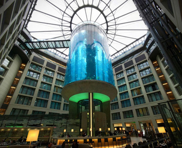 AquaDom