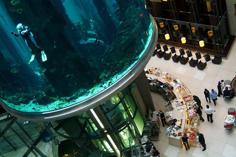 AquaDom