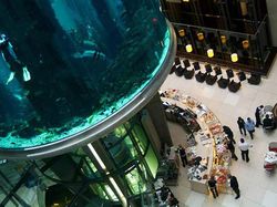 Melihat Akuarium Raksasa AquaDom Sebelum Meledak