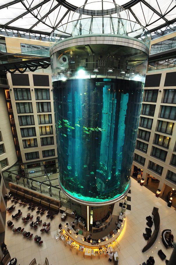AquaDom