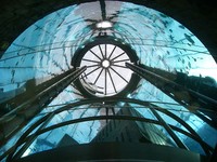 AquaDom