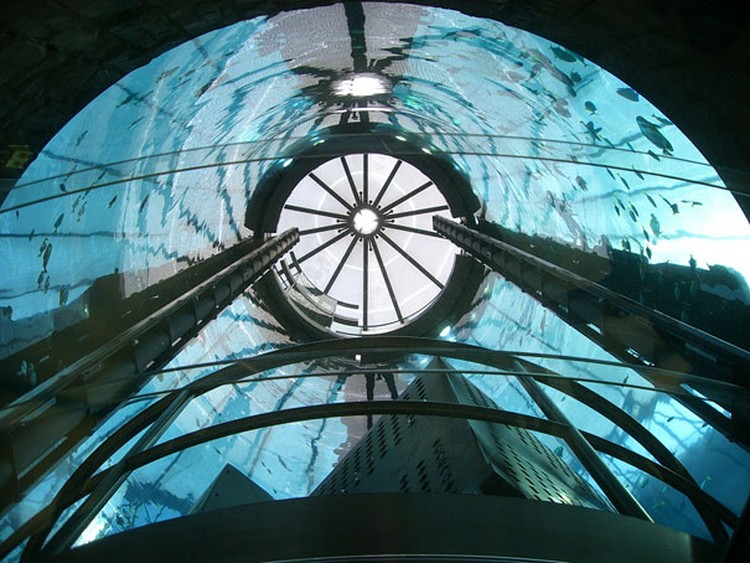 AquaDom