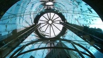 AquaDom diisi 1 juta liter air asin, dan menampung 1.500 ikan tropis lebih dari 100 spesies. Untuk memberi makan ikan, dibutuhkan 8 kg ikan lain setiap hari. Foto: Radissonblu.com/Bored Panda