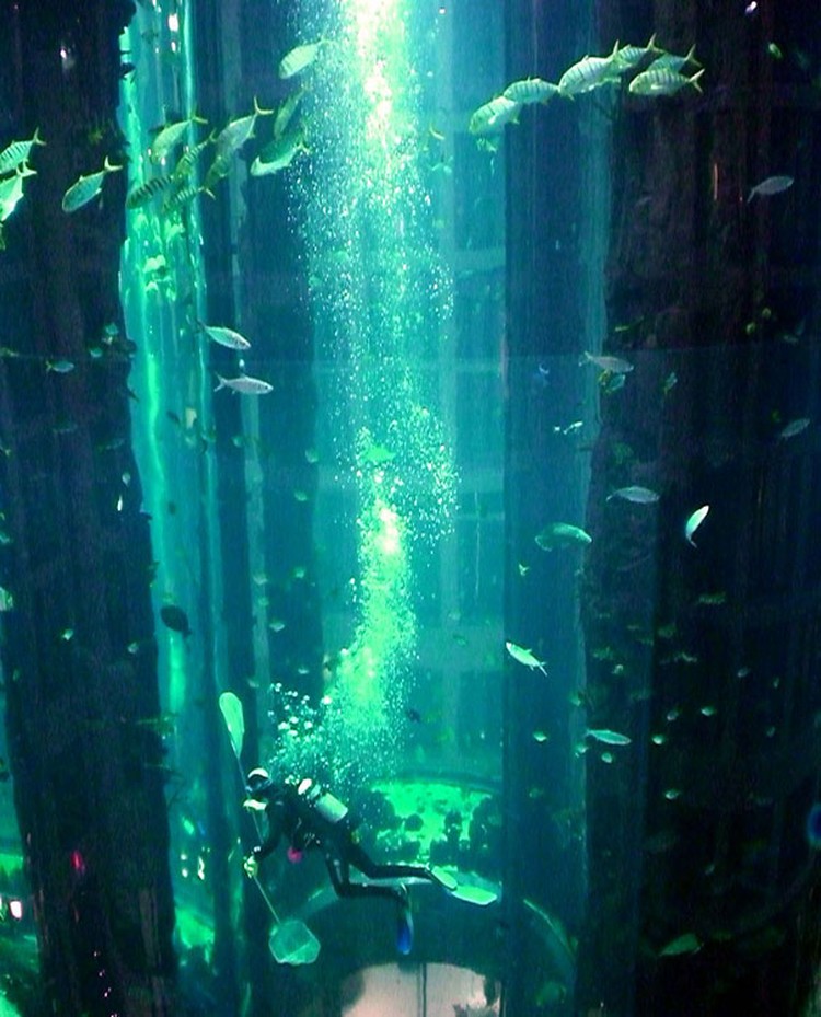 AquaDom