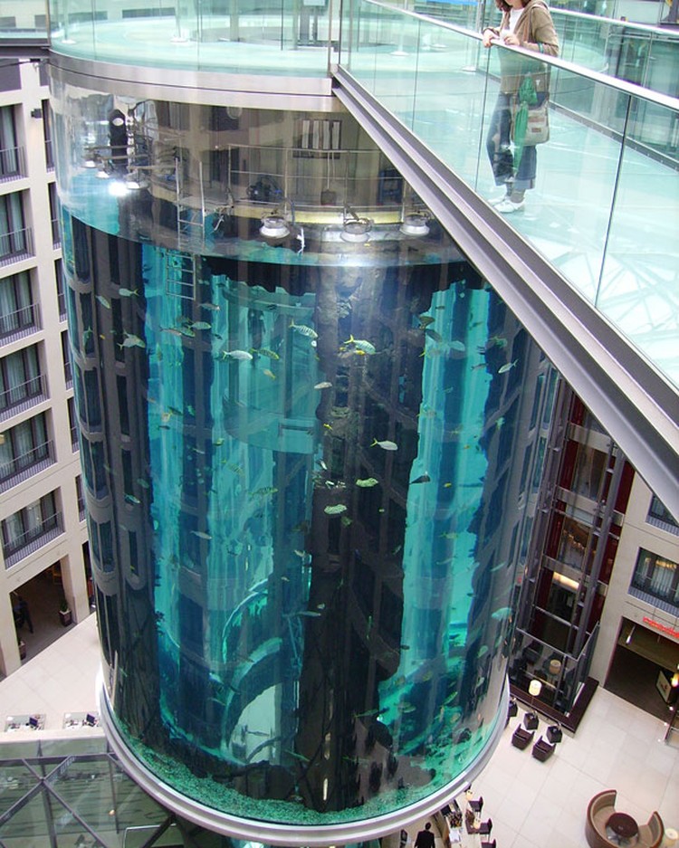 AquaDom AquaDom