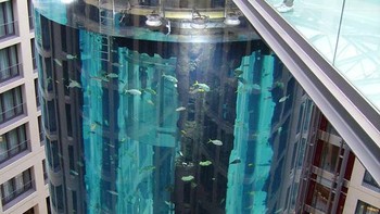 Pada tahun 2020, akuarium pernah diperbaharui. Semua air dikeringkan dari tangki dan ikan dipindahkan sementara ke fasilitas penangkaran di ruang bawah tanah. Segel akuarium diperbarui dan beberapa penyegelan tambahan dipasang. Selain itu, dilakukan pula pemeliharaan pada lift. Foto: Radissonblu.com/Bored Panda