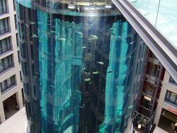 Melihat Akuarium Raksasa AquaDom Sebelum Meledak