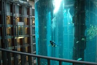 AquaDom