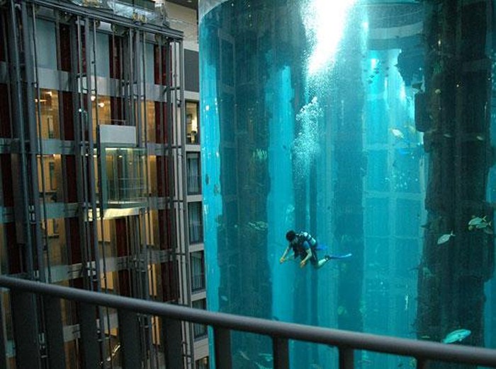 AquaDom