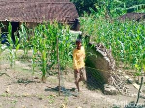 4 Fakta Terbaru Pria Ngawi yang Pindahkan Rumah Dalam Semalam