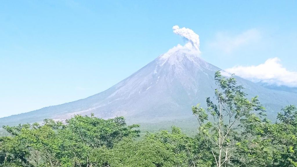 Update Gunung Semeru: Sempat Mengeluarkan Guguran Disertai Hujan Abu