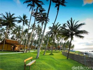 Berkah Pandemi Berakhir, Okupansi Hotel Banyuwangi Meningkat Jelang Nataru
