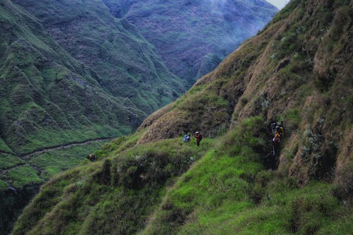 Kawasan Taman Nasional Gunung Rinjani, jalur pendakian Torean. Foto: Ahmad Viqi/detikBali.