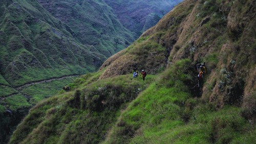 Kawasan Taman Nasional Gunung Rinjani, jalur pendakian Torean. Foto: Ahmad Viqi/detikBali.