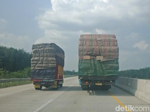 Pakar Sebut Perlu Instruksi Presiden Atasi ODOL
