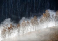 Nature Photographer of the Year 2022
