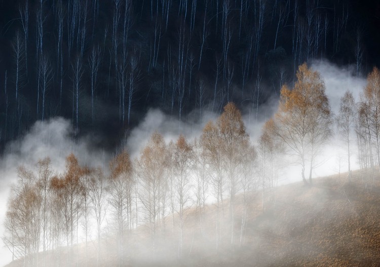 Nature Photographer of the Year 2022