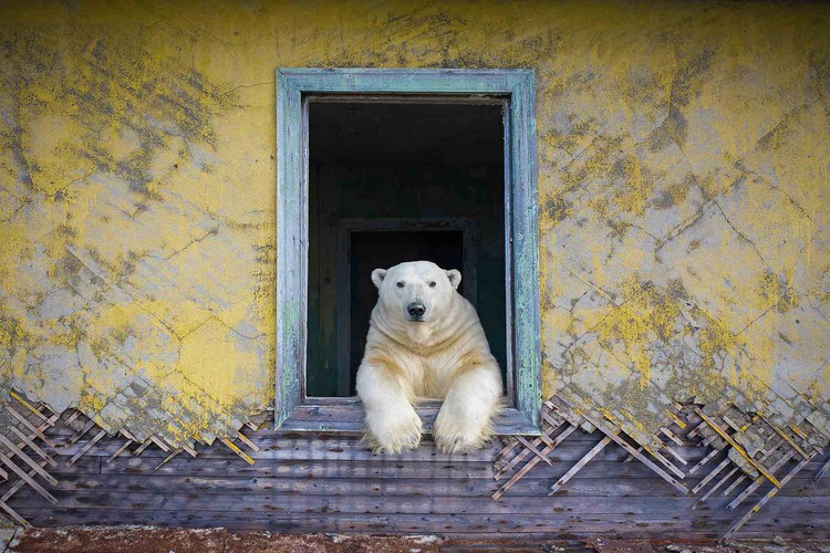 Nature Photographer of the Year 2022