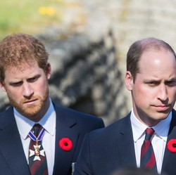 Pangeran William Mulai Luluh, Sinyal Damai ke Harry Terlihat