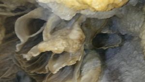 Contoh Batuan Sedimen, Beserta Pengertian dan Jenisnya
