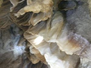 Contoh Batuan Sedimen, Beserta Pengertian dan Jenisnya