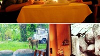 Di Bali juga ada restoran keren yang cocok bagi penggemar tantangan. Di Tsavo Lion Restaurant, pengunjung bisa makan malam ditemani dengan singa buas dibalik kaca. Foto: Site/Pool