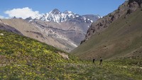 Satu dari tujuh gunung tertinggi di dunia ada di Argentina yaitu Gunung Aconcagua. Gunung ini menawarkan sejumlah aktivitas bagi pecinta alam seperti hiking dan ski. (Universal Images Group/Getty Images)  