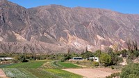 Quebrada adalah nama yang digunakan di Argentina untuk menyebut jurang yang dalam. Salah satu yang terkenal adalah Quebrada de Humahuaca yang terbentang sepanjang 155 kilometer di barat laut Argentina. Termasuk dalam jajaran Situs Warisan Dunia UNESCO, lembah gersang ini pernah menjadi bagian dari Kerajaan Inca dan jalur perdagangan penting. (Marica van der Meer/Getty Images)  