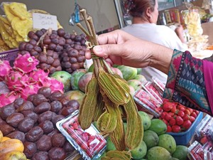 Mencicipi Sensasi Buah Salju, Terasa Dingin di Ujung Lidah