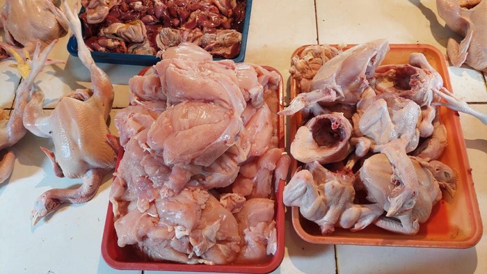 Daging ayam