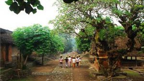 Tradisi Bali Aga Tenganan