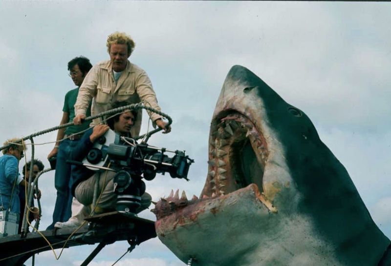Jaws