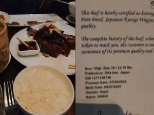 Makan Steak Wagyu, Wanita Ini Merasa Bersalah Lihat Asal-usulnya