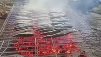 Punya banyak ikan yang ingin dibakar, netizen ini takut wadahnya tak cukup. Alhasil pagar rumahnya dirobohkan dna dipinjam sebagai wadah untuk pembakaran. Foto: Instagram/unconditionaldesign