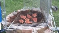 Tak punya wadah untuk membakar yang memungkinkan, netizen ini pilih gunakan troli belanja. Jaring-jaringnya digunakan untuk meletakkan daging. Foto: Instagram/unconditionaldesign