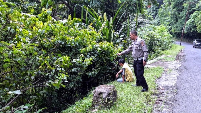 Petugas kepolisian menunjukan lokasi jurang tempat pikap terjun usai tidak kuat menanjak.