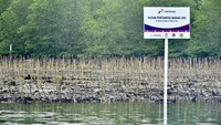 Pada lahan seluas 40 hektare di lingkungan operasi Badak LNG di Kota Bontang nantinya akan ditanam 400.000 bibit mangrove dengan jenis Avicennia, Rhizophora, dan Sonneratia. Per 14 Desember sudah dilakukan penanaman sebanyak 53% atau 215.000 bibit dengan luasan 21.5 hektare.