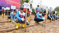 Direktur SDM Pertamina Erry Sugiharto mengatakan penanaman mangrove melalui Hutan Pertamina di area operasi Badak LNG merupakan wujud komitmen perusahaan terhadap penerapan aspek Environment Social and Governance (ESG) di perusahaan. Selain itu, ini juga wujud kontribusi perusahaan  terhadap pencapaian Sustainable Development Goals (SDGs) pada poin 14 yaitu ekosistem lautan.