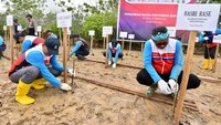 Program Hutan Pertamina Badak LNG tersebut merupakan salah satu langkah nyata untuk mengendalikan emisi Gas Rumah Kaca (GRK) dengan target hingga 41% pada tahun 2030 dan target bauran Energi Baru Terbarukan mencapai 23% pada 2025.