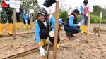 Program Hutan Mangrove Jadi Langkah Pertamina Tekan Emisi Karbon