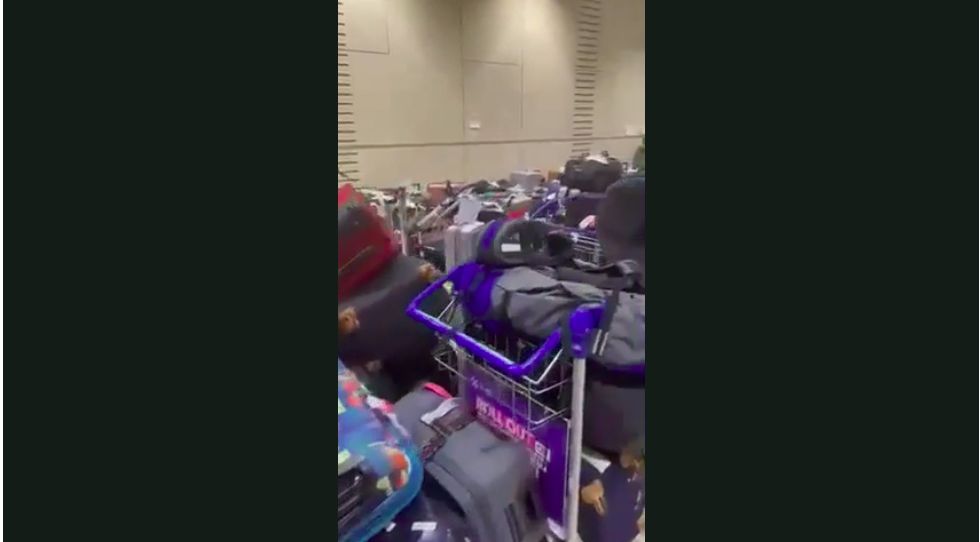 Ratusan koper hilang di Bandara Auckland sudah berdebu